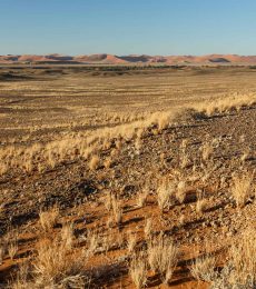 sossusvlei-namibia-7WZXLN3.jpg