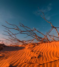 stunning-view-of-lonely-sand-dunes-PEHMLXP.jpg